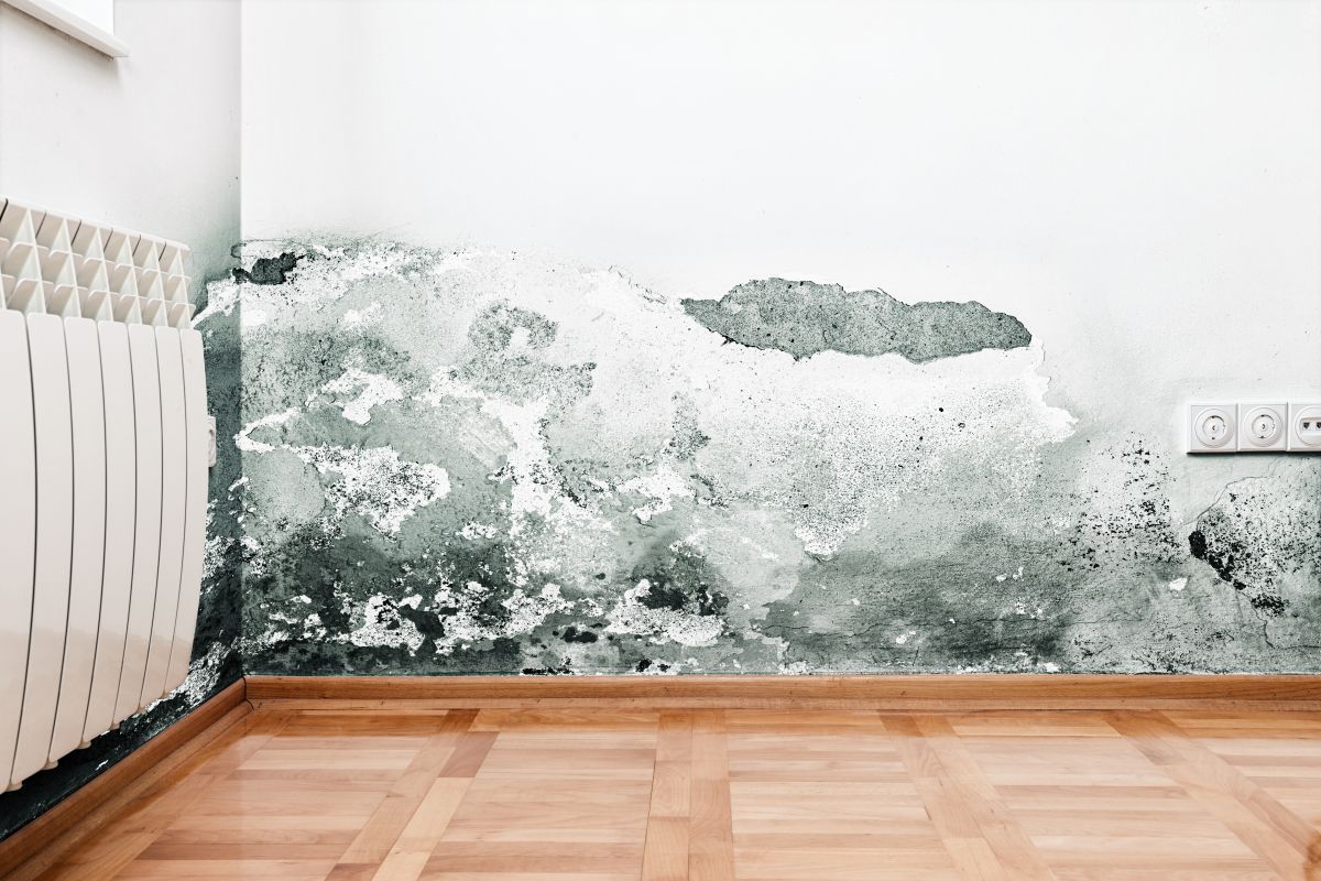Water Damage,